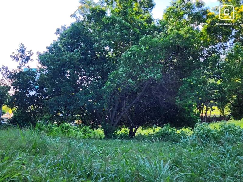 Lot for sale in Managua – 39,102 m²