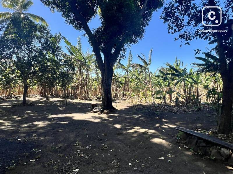 Farm for sale in Isla de Ometepe, Rivas – 80 m²