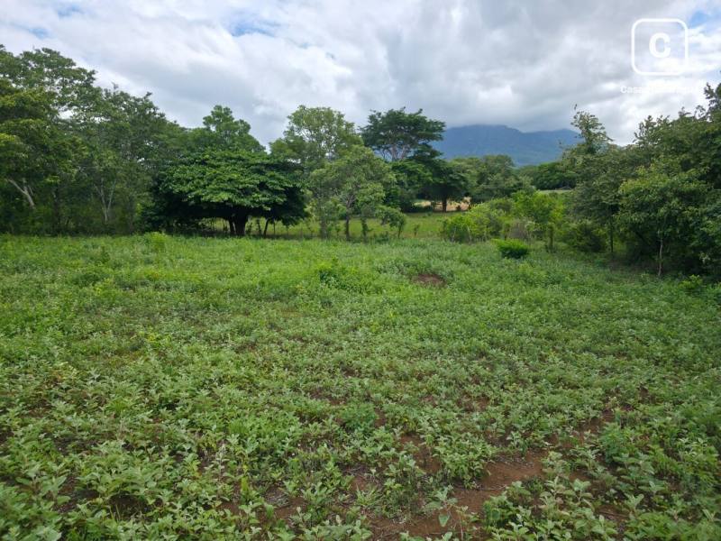 Finca en venta en Nandaime, Granada – 53,656 varas²