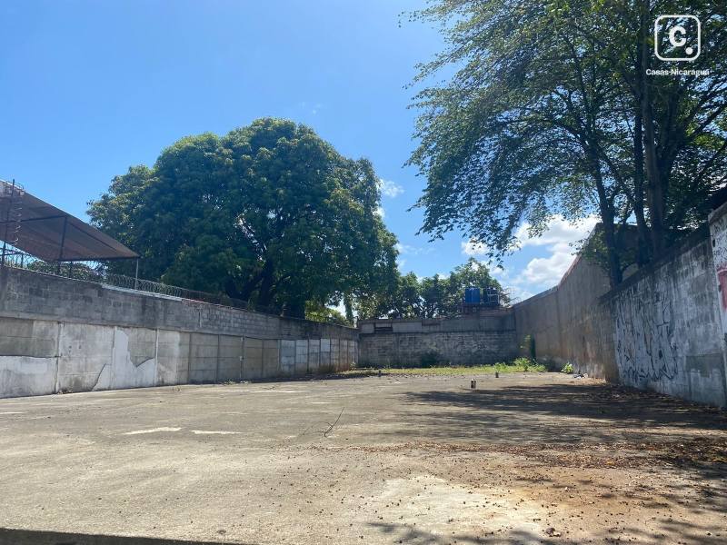 Lote en Los Robles, Managua · Zona de alto tráfico comercial · 600 m²