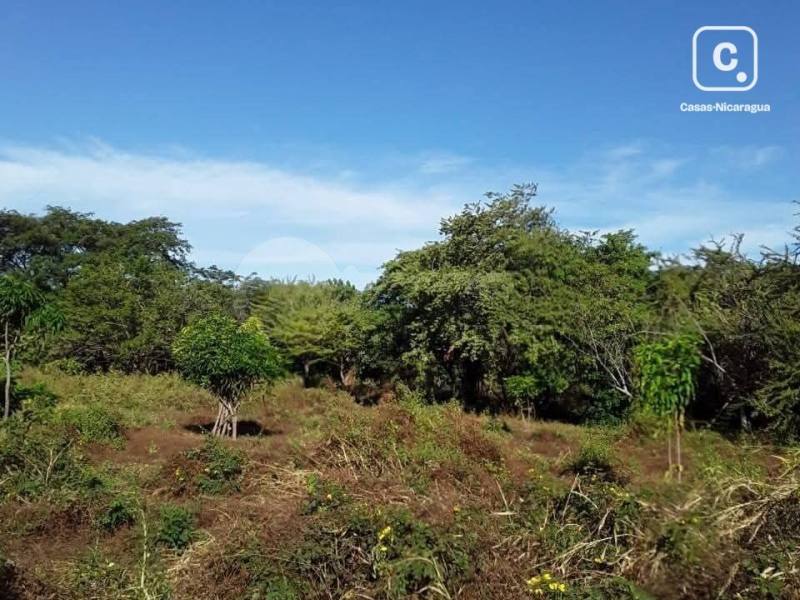 Lot for sale in Leon