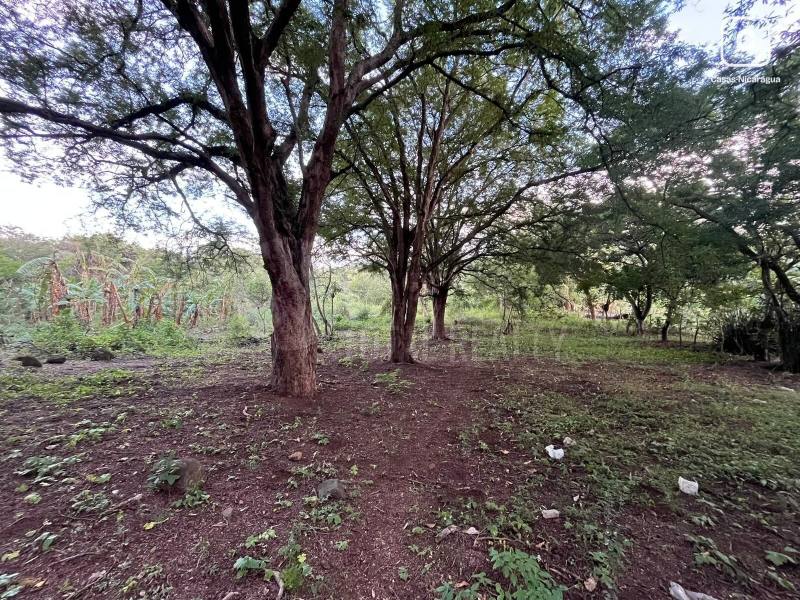 Lot for sale in Carretera Masaya