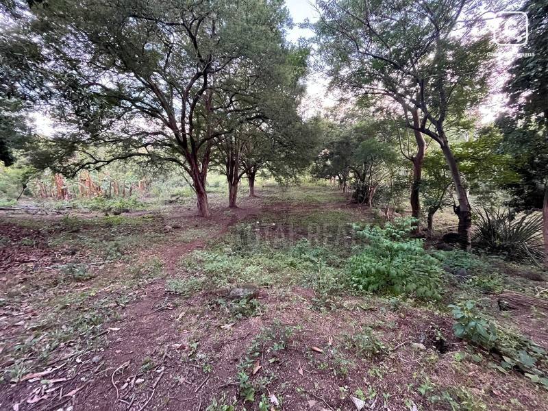 Lot for sale in Carretera Masaya