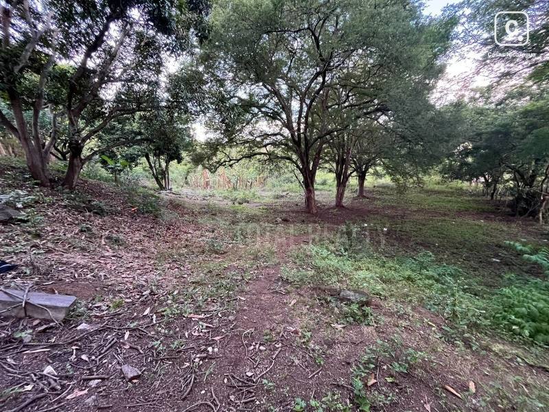 Lot for sale in Carretera Masaya