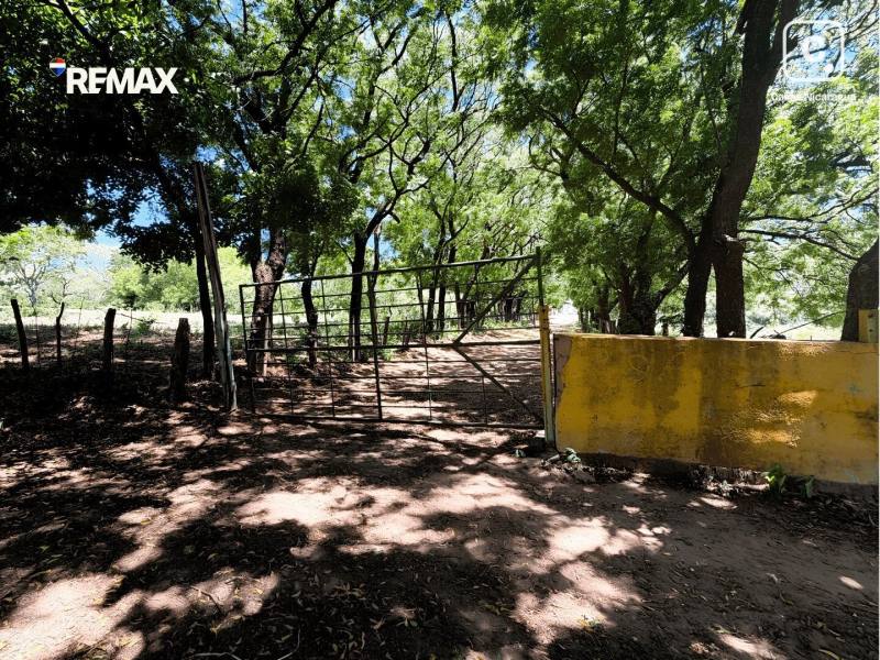 Farm for sale in Nagarote, León – 104,805 m²