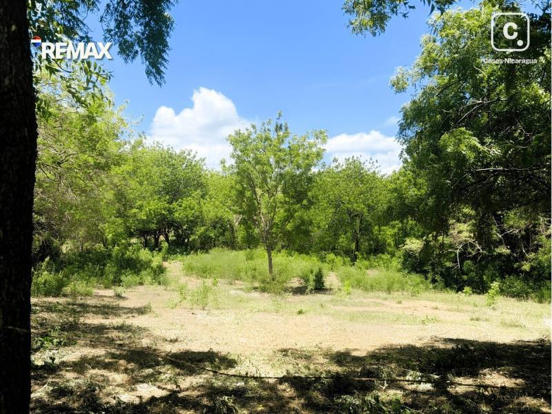 Farm for sale in Nagarote, León – 104,805 m²
