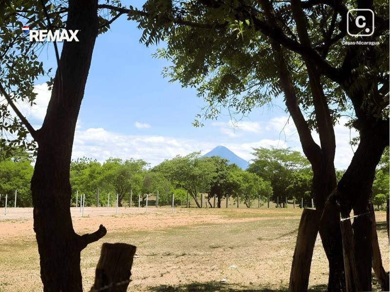 Farm for sale in Nagarote, León – 48,909 m²