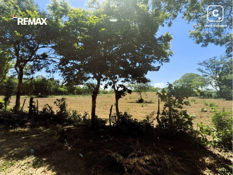 Farm for sale in Nagarote, León – 48,909 m²