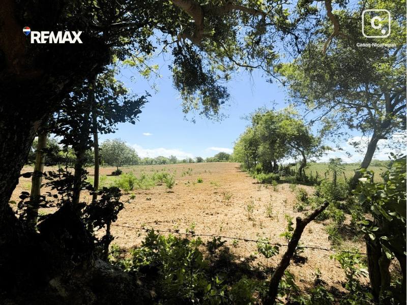 Farm for sale in Nagarote, León – 48,909 m²