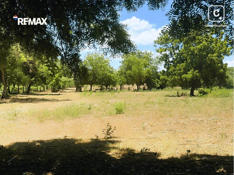 Farm for sale in Nagarote, León – 69,870 m²