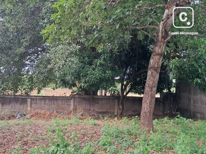 Farm for sale in Managua – 353 m²