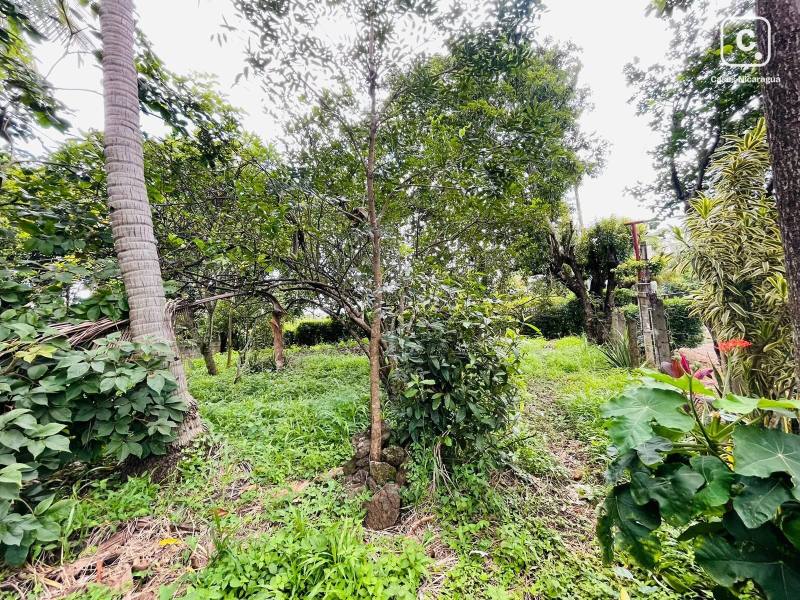 Farm for sale in Carretera Masaya, Managua – 1,334 m²