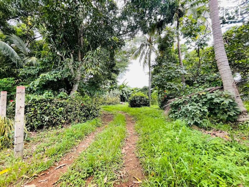 Farm for sale in Carretera Masaya, Managua – 1,334 m²