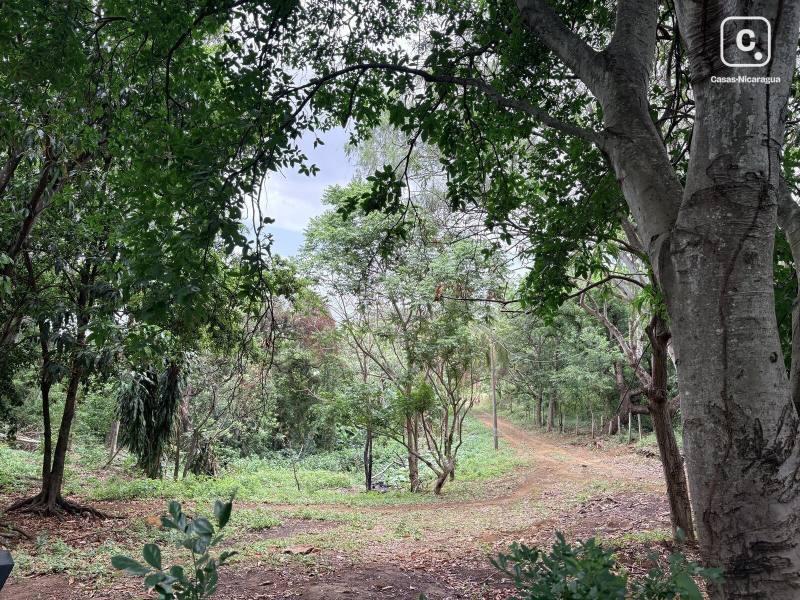Lot for sale in Managua – 81,000 m²