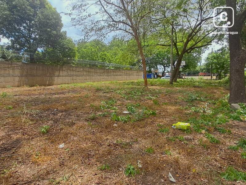 Farm for rent in Sábana Grande, Managua – 418 m²