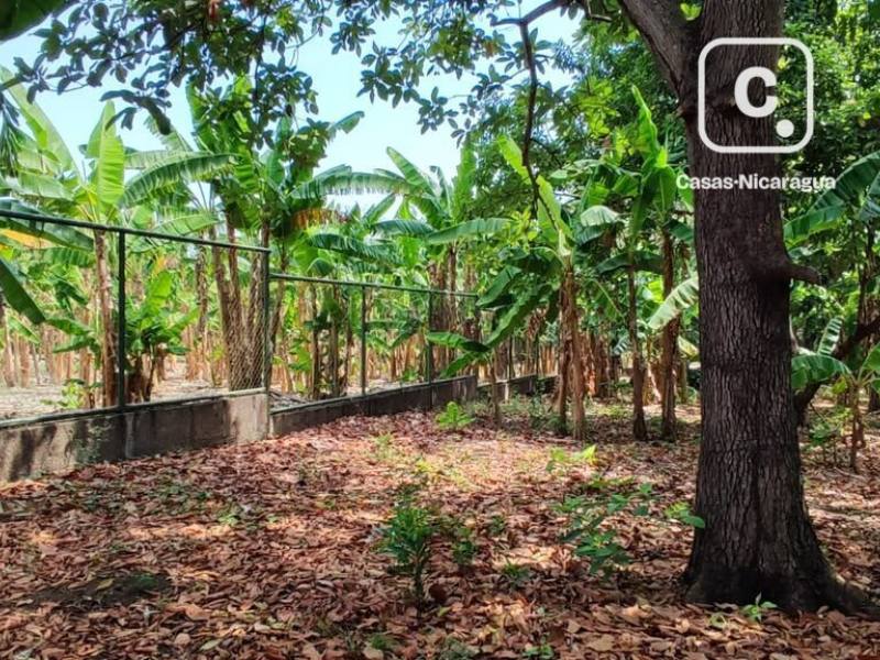 Lot for sale in Managua – 3,524 m²