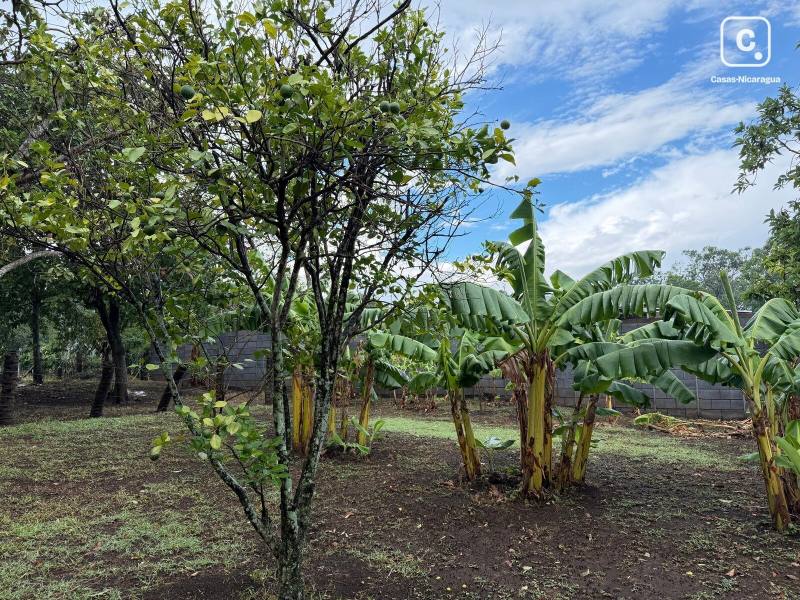 Finca en venta en Managua – 768 varas²