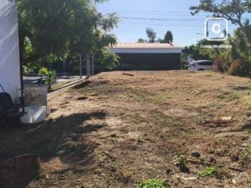 Terreno en venta en Colonia Managua, Managua – 504 varas²