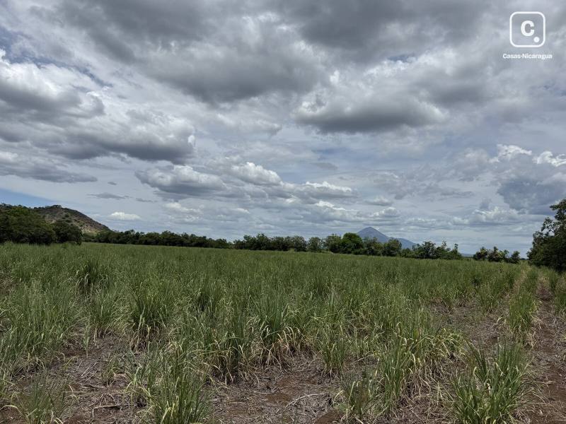 Farm for sale in Chinandega – 47,287 m²