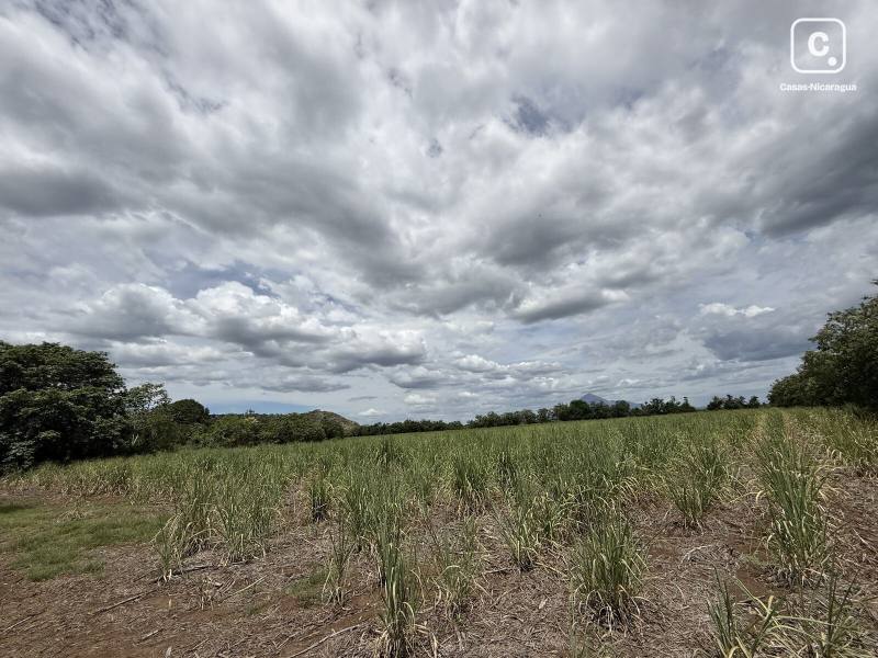 Farm for sale in Chinandega – 47,287 m²
