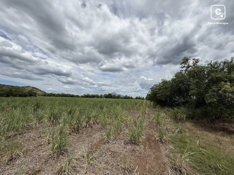 Farm for sale in Chinandega – 47,287 m²