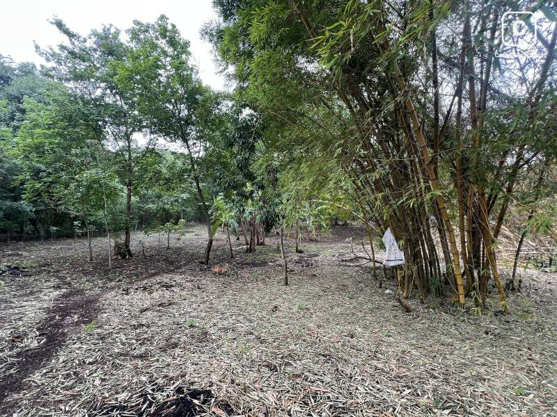Terreno en venta en Masaya – 1,990 varas²