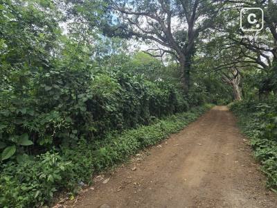 Terreno en venta en San Marcos, Carazo – 20,181 varas²