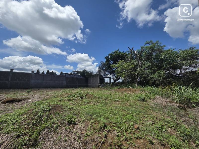 Farm for sale in Nindirí, Masaya – 348 m²