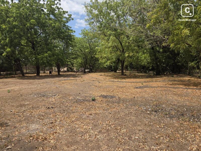 Terreno en venta en Managua – 613 varas²