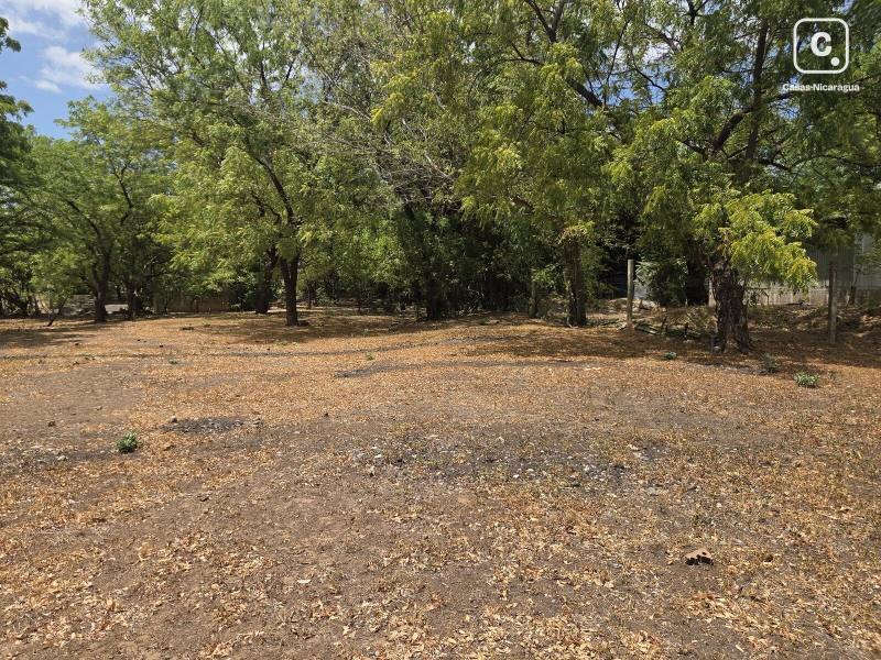 Terreno en venta en Managua – 613 varas²