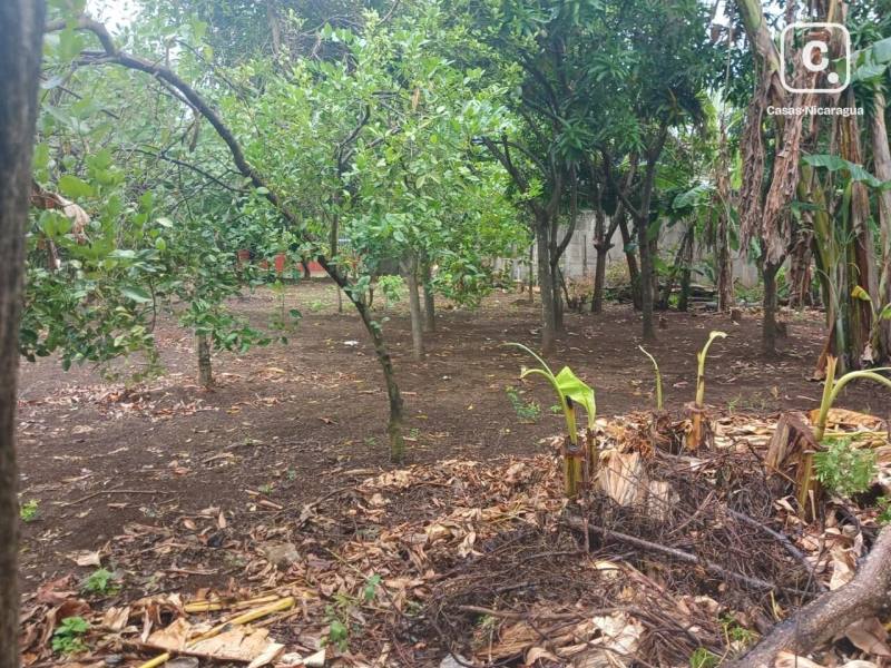Finca en venta en Masaya – 793 varas²