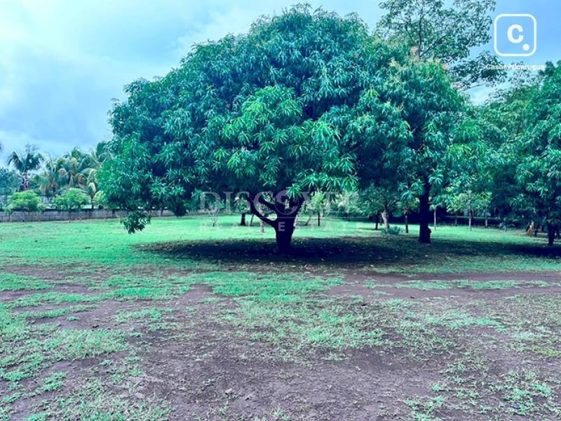 Finca en venta en Carretera Vieja a León, Managua – 40,000 varas²