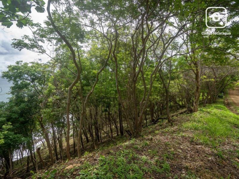 Terreno en venta en Tola, Rivas – 3,706 varas²
