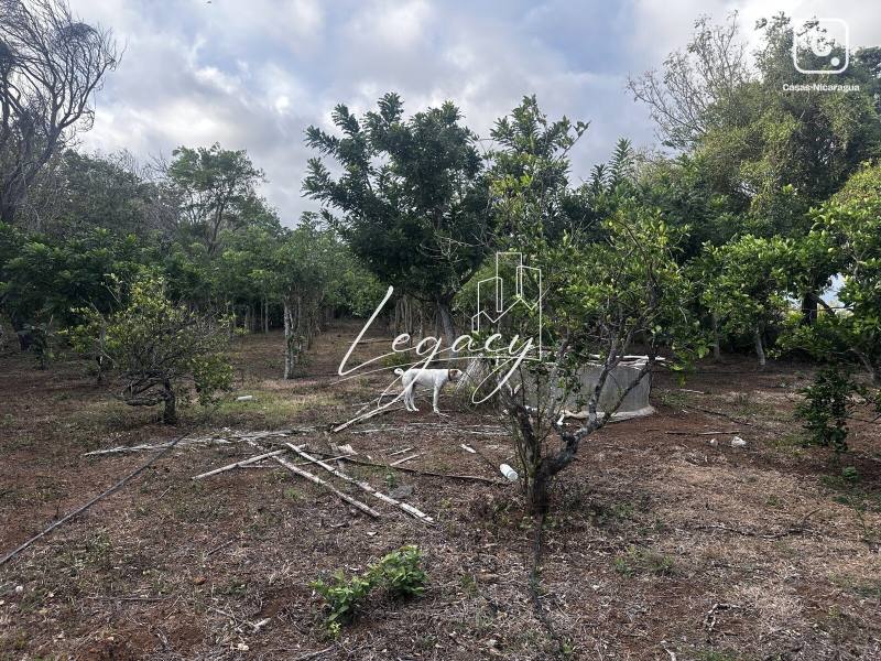 Finca en venta en Diriamba, Carazo – 64,100 varas²