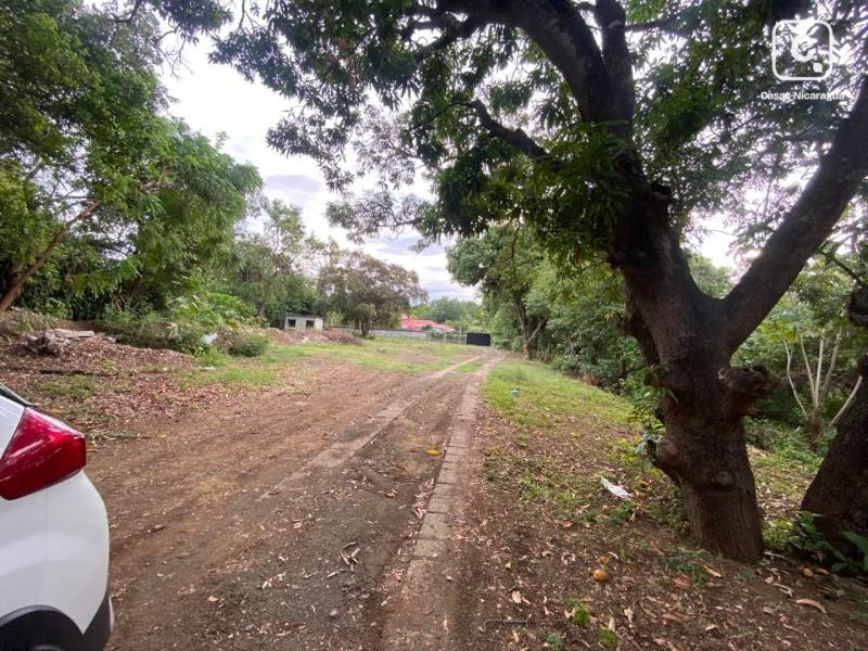 Terreno en venta en Santo Domingo, Managua – 4,000 varas², US$ 440,000