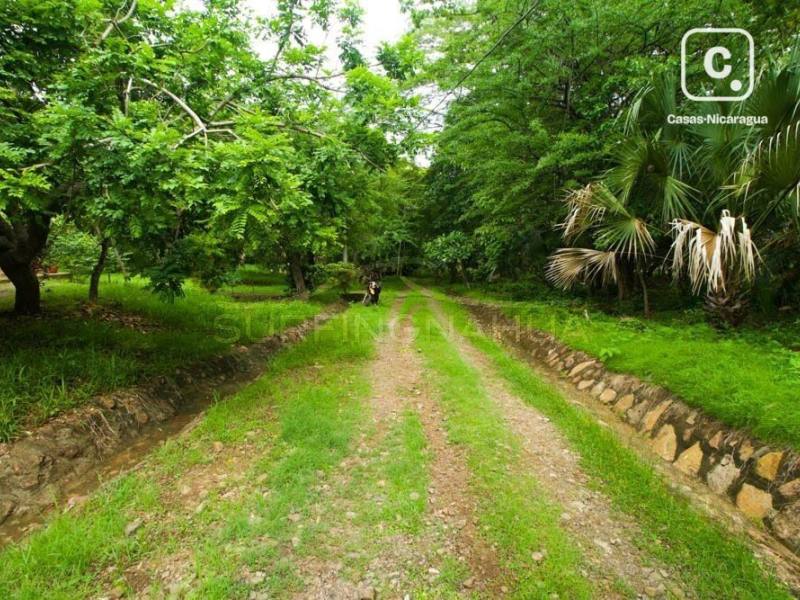 House for sale in El Viejo, Chinandega – 1 bed, 56,656 m²