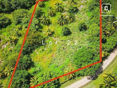 Lot for sale in El Viejo, Chinandega – 4,047 m²