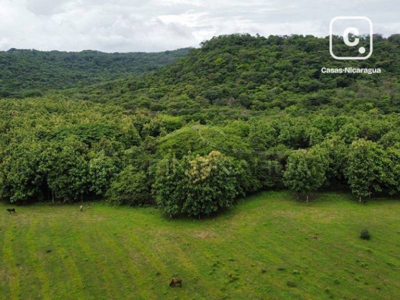 Terreno en venta en El Viejo, Chinandega – 2,364,320 varas²
