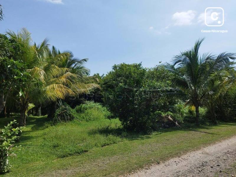 Terreno en venta en El Viejo, Chinandega – 40,544 varas², US$ 59,000