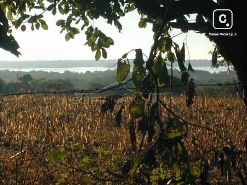 Lot for sale in El Viejo, Chinandega – 80,937 m²