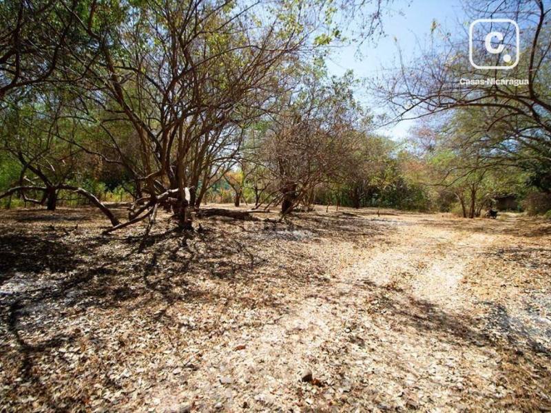 Lot for sale in El Viejo, Chinandega – 1,254 m²