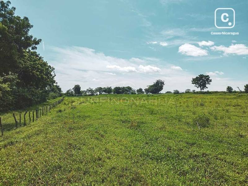 Lot for sale in El Viejo, Chinandega – 11,608 m²