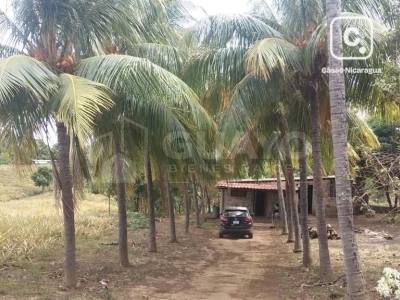 Terreno en venta en Ticuantepe, Managua – 30,600 varas²
