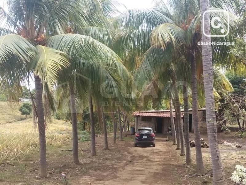 Lot for sale in Ticuantepe, Managua – 21,380 m²