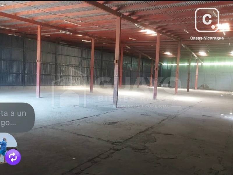 Bodega en alquiler en Veracruz, Managua – 600 m²