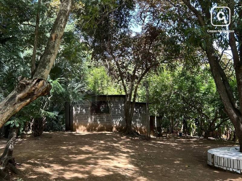 Terreno en venta en Santo Domingo, Managua – 3,543 varas²