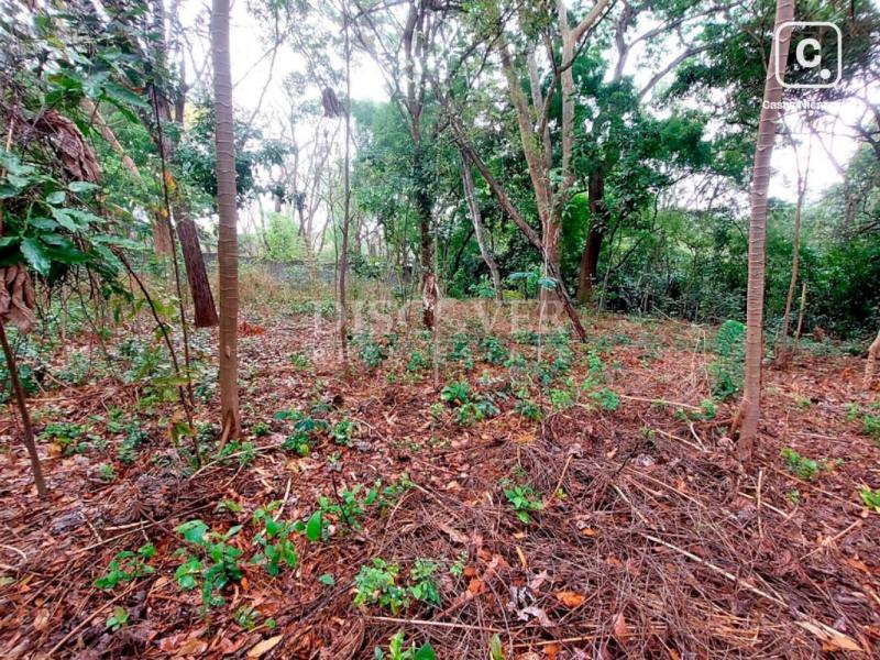 Lot for sale in Santo Domingo, Managua – 1,048 m²