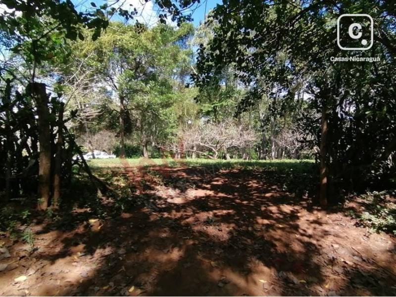 Lot for sale in Masaya – 22,434 m²