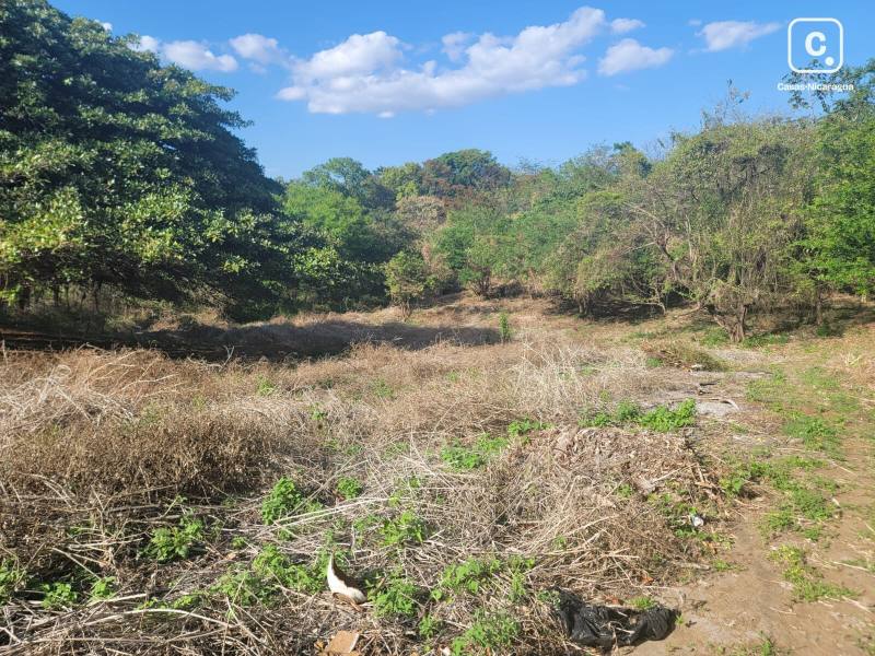 Terreno en venta en Carretera Sur, Managua – 4,535 varas²