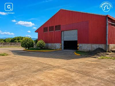 Bodega en alquiler en Carretera Nueva León, Managua – 3,921 m²